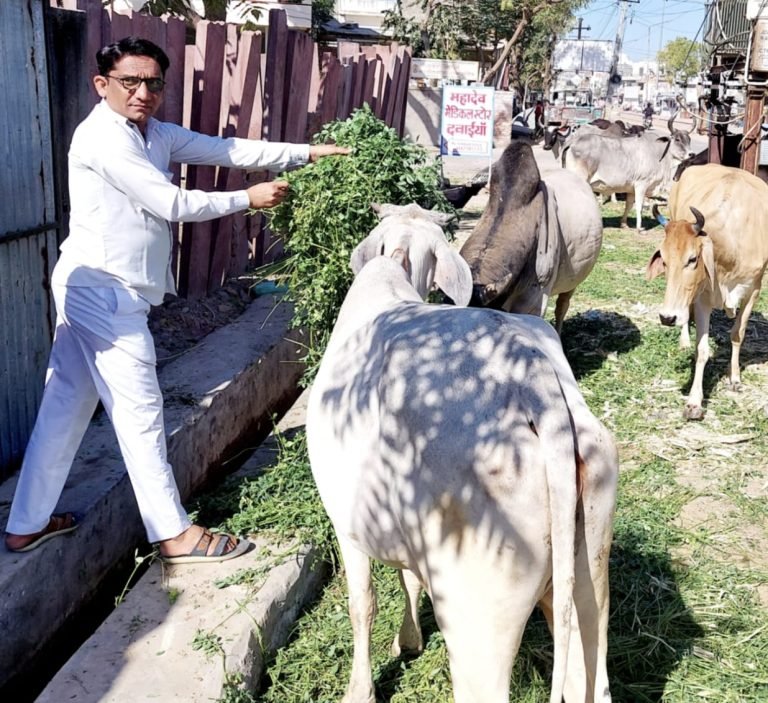 गौ माता की सेवा सबसे बड़ा पुण्य