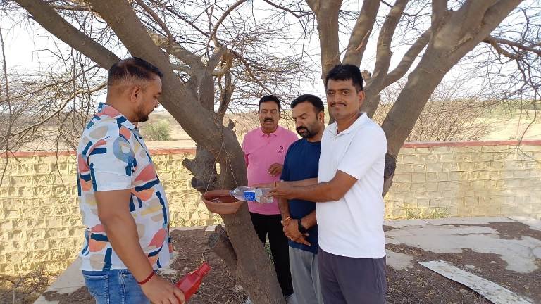 क्रिकेट मैदान में परिंडे लगाए