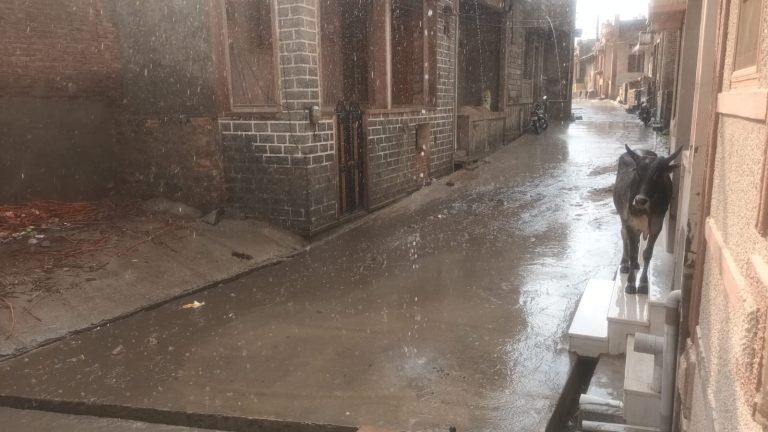 उपखंड के नारलाई देसूरी आना गांव में शनिवार दिन में तेज धुव व गर्मी से लोगों के हाल बेहाल