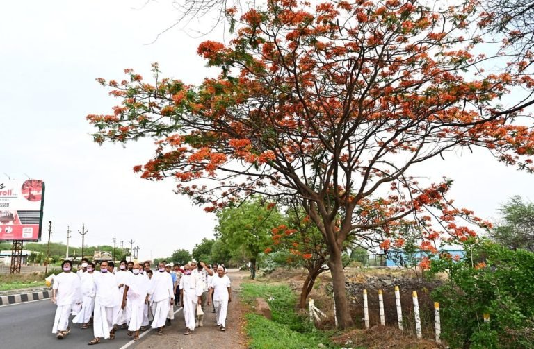 12 किलोमीटर का विहार कर गोकुलवाड़ी में पधारे तेरापंथ के गणराज