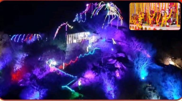 श्री उज्जैनी वीर मामाजी धाम नारलाई का वार्षिक महोत्सव