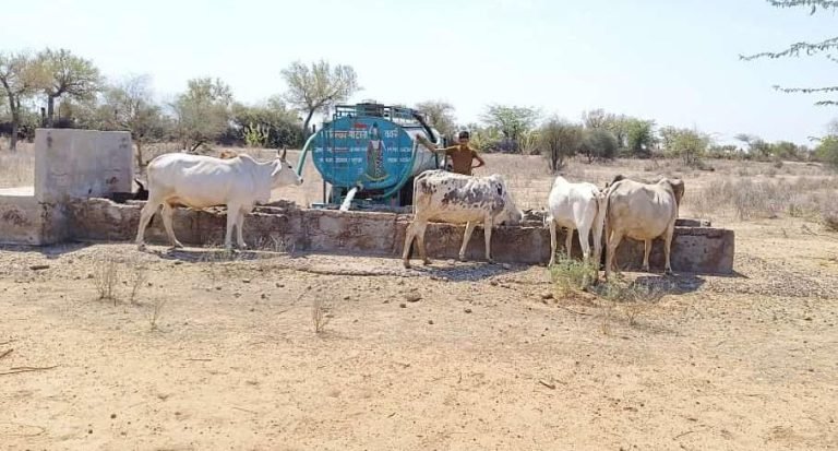 बेजुबान जीवों के लिए की पानी की व्यवस्था