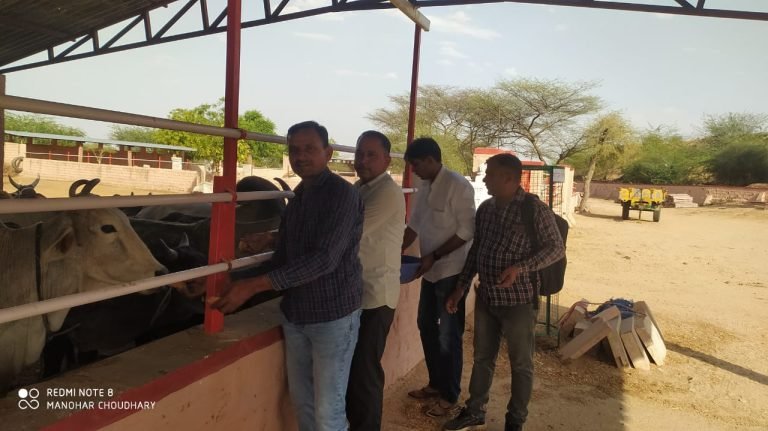 मोहिनी एकादशी को हुआ दान पुण्य