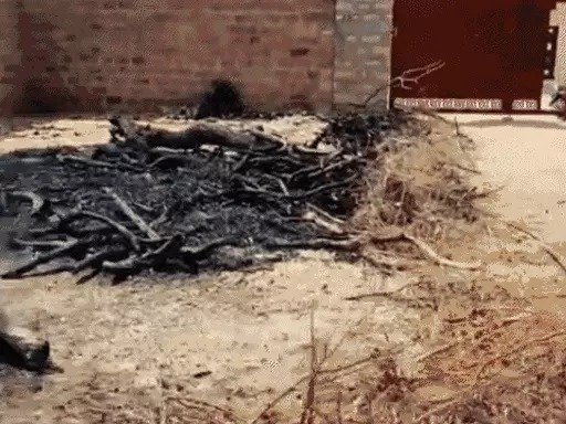 शराब की दुकान में लगाई आग