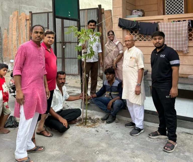 पौधों की अहमियत को हमें समझना होगा