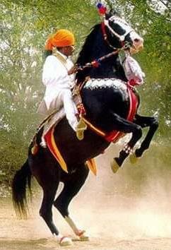 मारवाड़ी घोड़े को देश और दुनिया में अलग पहचान दिलाने वाले स्व. राव जोधसिंह की 21वीं पुण्यतिथि आज