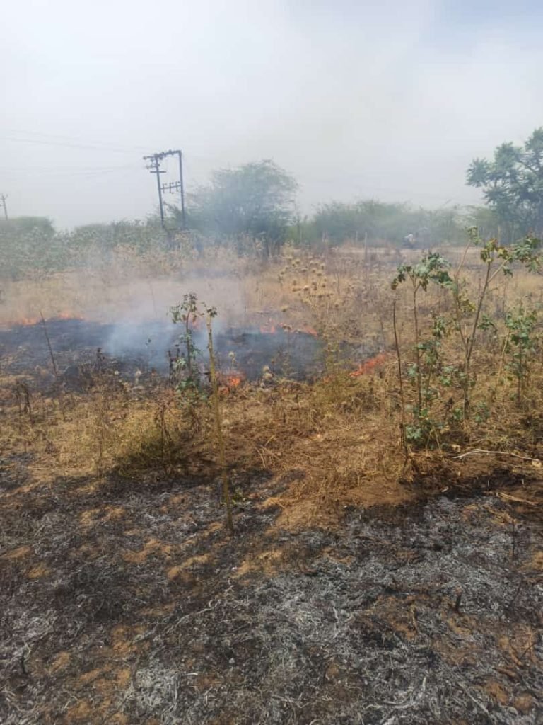 आग लगने के कारण किसानों की फसल जल का राख हुई