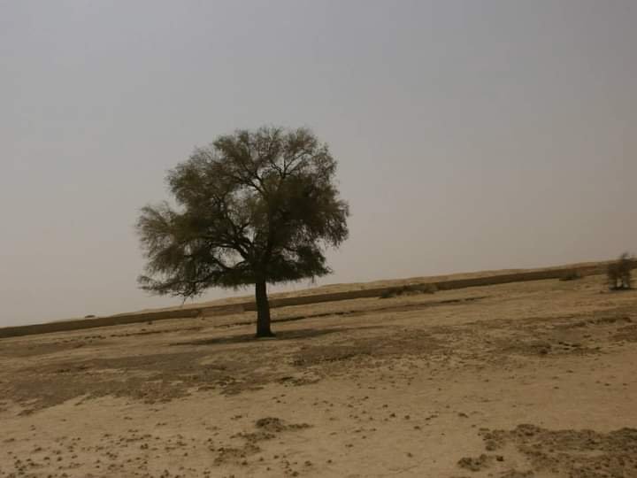 जैसलमेर के बांधा में गिरधारी की तलायी के कैचमेन्ट एरिया में अतिक्रमण से पानी की आवक में आई कमी