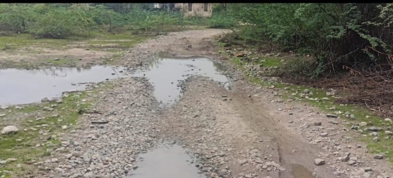 घाणेराव ग्राम पंचायत के अधीनस्थ कीरों की ढाणी काणा तलाब क्षेत्र में लंबे समय से पेयजल का संकट गहराया