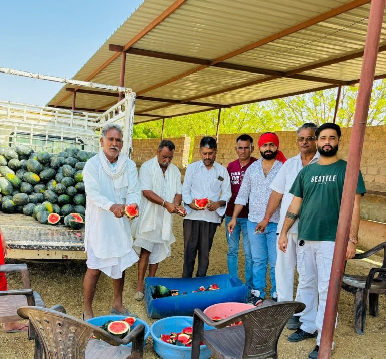 श्री बालाजी कृष्ण ग़ोशाला में गोभक्तों ने कि गायो की सेवा