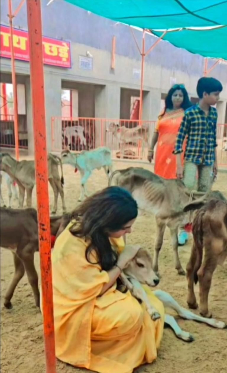 गाय का सम्मान अर्थात भारतीय संस्कृति का सम्मान : प्रोफेसर डॉ स्वाति शर्मा