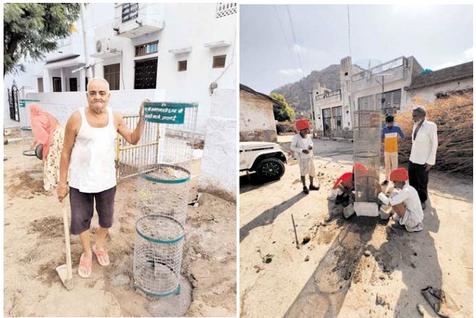 हरियालो राजस्थान के तहत पेड़ लगाने की अपनी इच्छा को सोशल पर की जाहिर