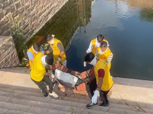 नागादड़ी में मिला अज्ञात युवक का शव