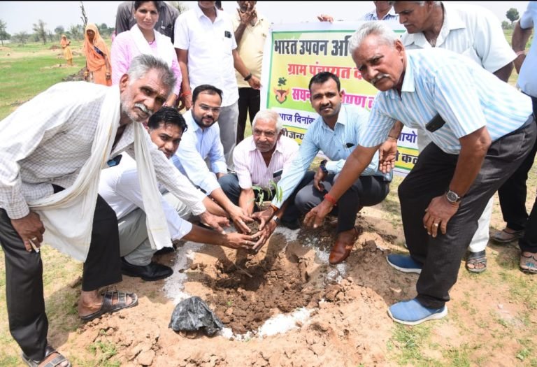 देवली कला में चारागाह विकास में मनरेगा योजना के तहत 1000 पौधारोपण अभियान का उपखण्ड अधिकारी ने किया शुभारंभ