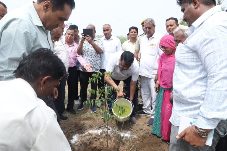 वृक्ष चौपाल के तहत गिरादड़ा विद्यालय में रौपे 700 से अधिक पौधे