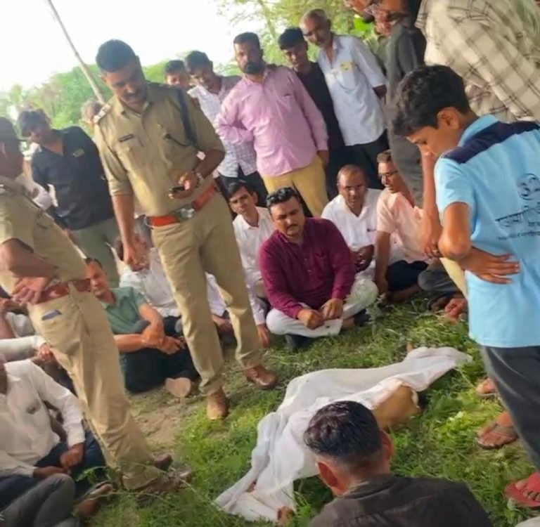 सांचौर : नेशनल हाईवे के पास हिरण शिकार की घटना आई सामने