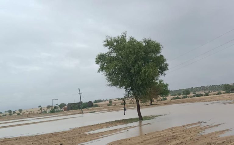 ग्रामीण क्षेत्रों में मानसून की अच्छी बारिश