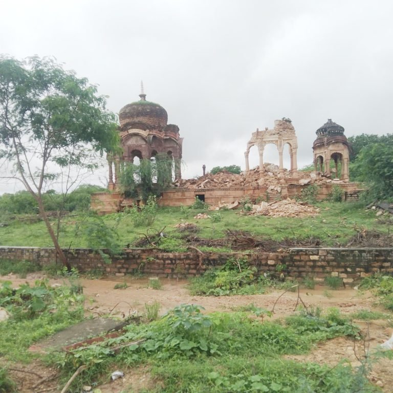 जिला प्रशासन जोधपुर व पुरातत्व विभाग की नाकामी : ग्राम रोहिला कलां (भाखरवाला गांव) के ऐतिहासिक धरोहर देवल(छतरियां) दुर्दशा की शिकार