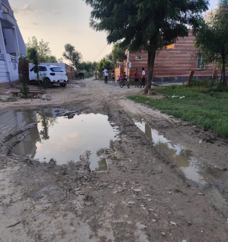 डेगाना के वार्ड 3 में जल भराव और बुनियादी सुविधाओं का अभाव