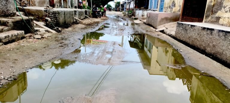 श्रीभंवाल माता मंदिर मार्ग पर जमी हुई काई,  श्रद्धालुओं को गंदगी से हो रही है परेशानी